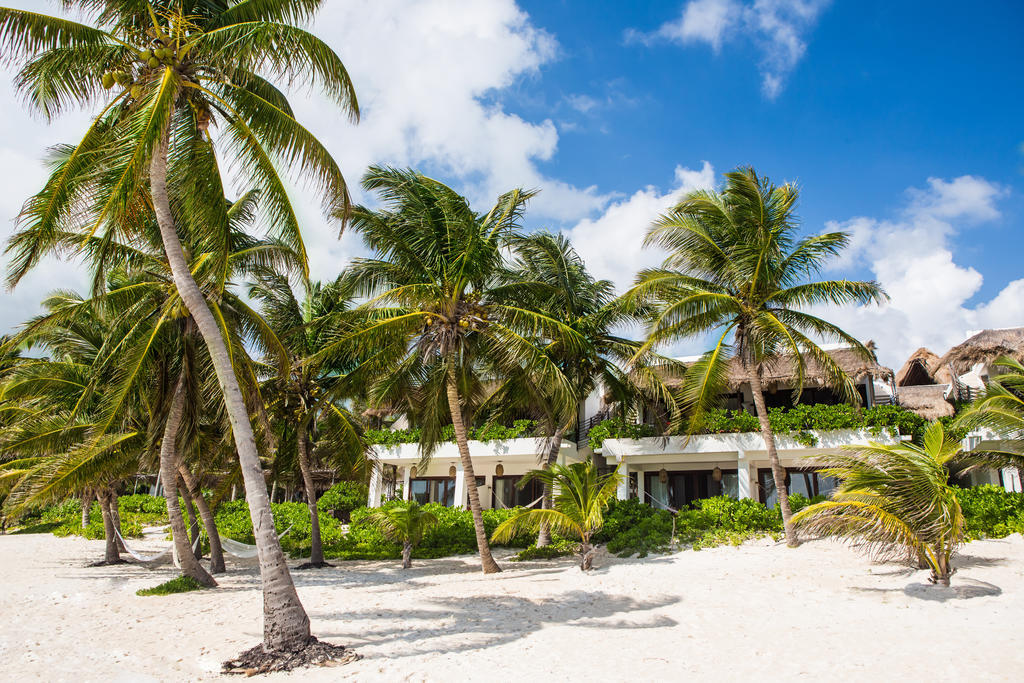 The Beach Tulum Hotel Εξωτερικό φωτογραφία