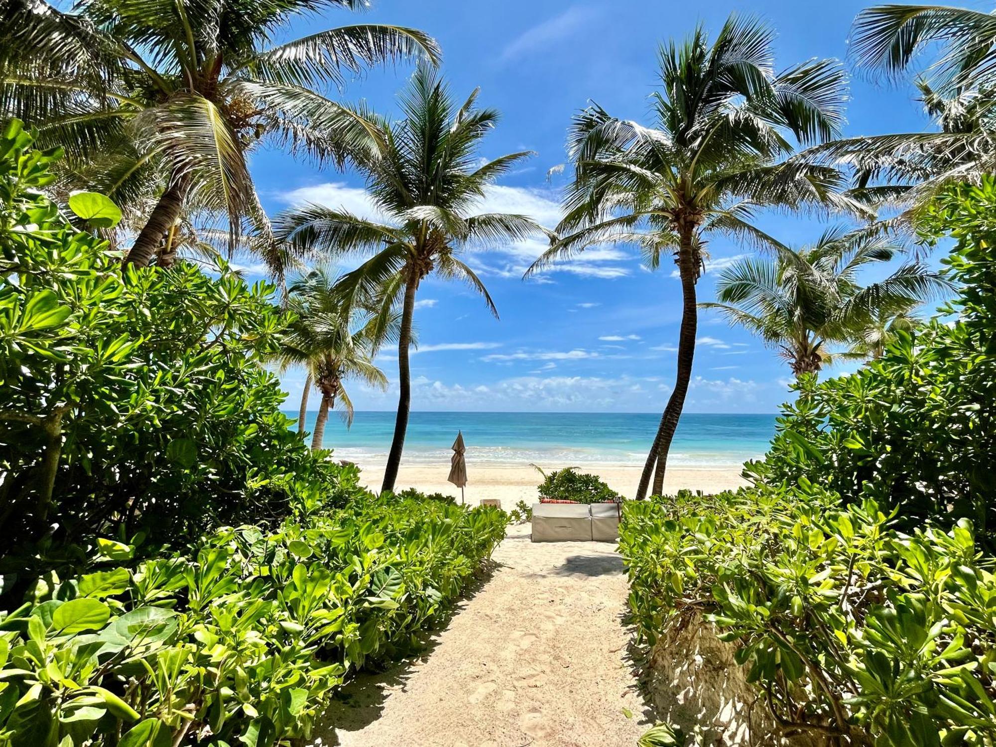 The Beach Tulum Hotel Εξωτερικό φωτογραφία